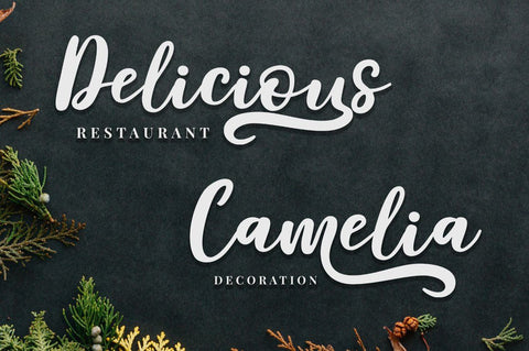 Delaras Font Megatype 