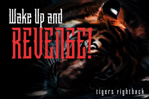 Delaroca Font Arterfak Project 