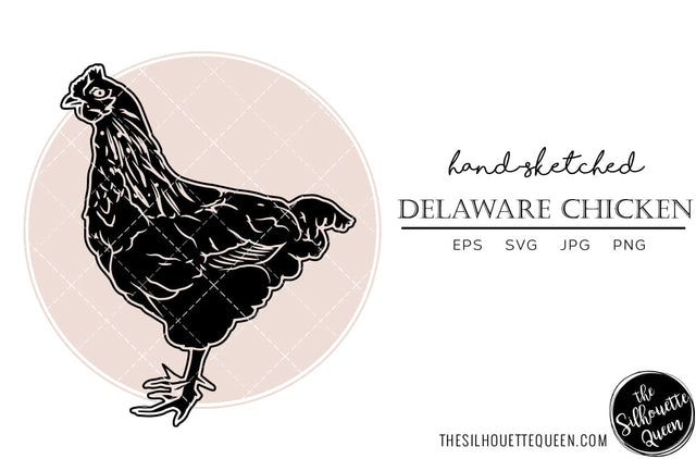Delaware Chicken Sketch Vector SVG Loveleen Kaur 