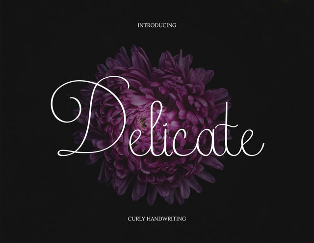 Delicate Curly Handwriting Font inferno.studio3 