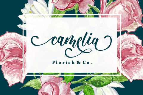 Delicia Script Font Anastasia 