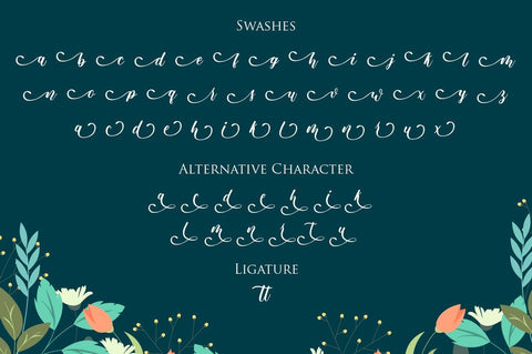 Delicia Script Font Anastasia 