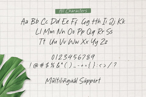 Delight Paradise - Handwritten Font Font Timur type 