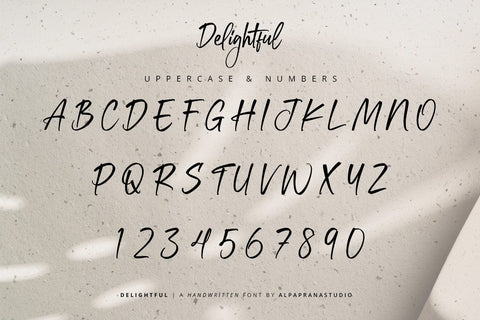 Delightful - Handwritten Font Font Alpaprana Studio 