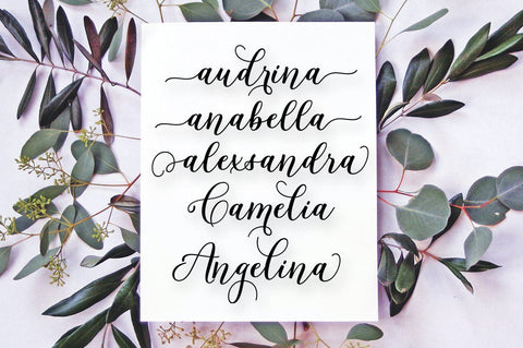 Delimora Font Straight.co 