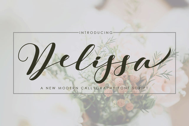 Dellisa Font JoeCreative 