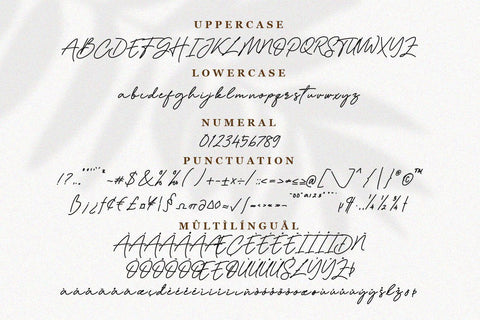 Dellynda - Handwritten Script Font Balevgraph Studio 