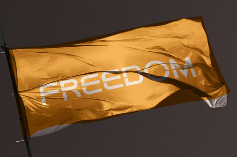 Deluxe – Modern Font Font Vultype Co 