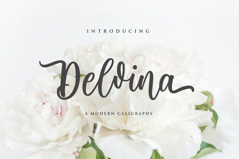 Delvina Font Anastasia 
