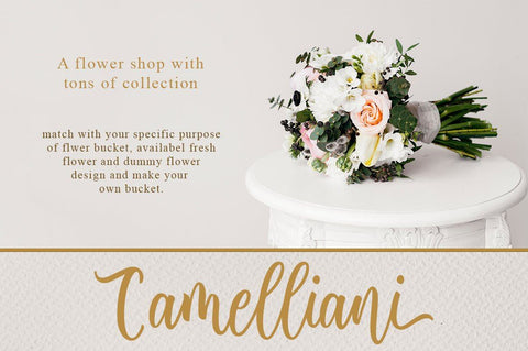 Delvina Font Anastasia 