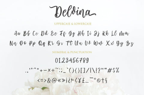 Delvina Font Anastasia 