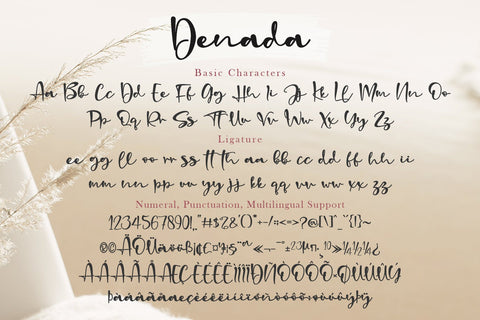 Denada Font Stefani Letter 