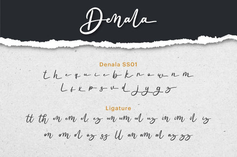 Denala - Script Font Font Attype studio 