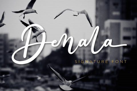 Denala - Script Font Font Attype studio 