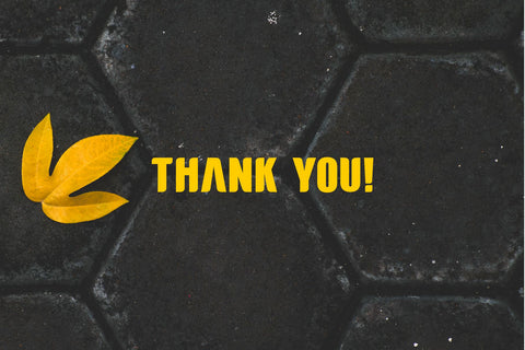 Denzha Font Almaz Studio™ 