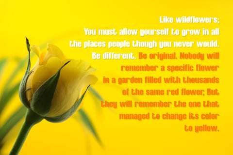 Denzha Font Almaz Studio™ 