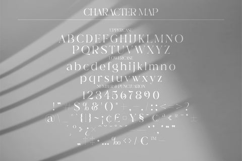 Deraga Typeface Font Storytype Studio 