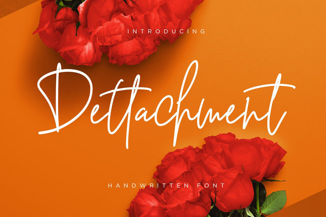 Dettachment Handwritten Font Creatype Studio 