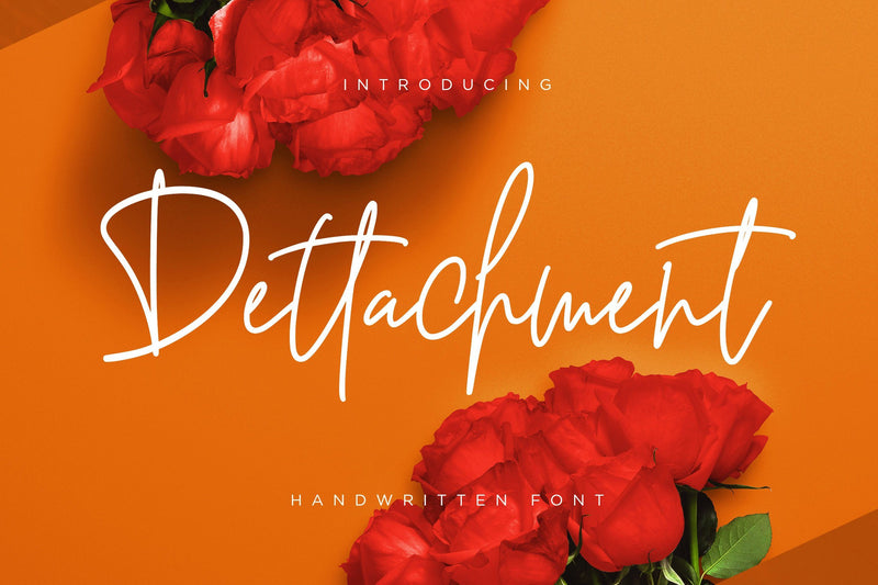 Dettachment Handwritten Font Creatype Studio 