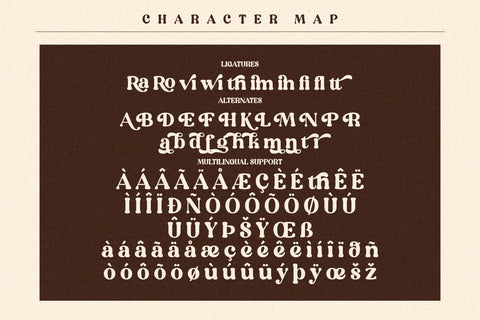 Devitta Typeface Font Storytype Studio 