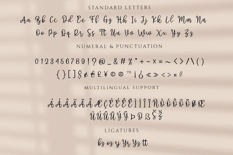 Dichigan, Modern Calligraphy Font Motokiwo 