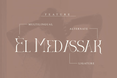 DIEGO Typeface Font Storytype Studio 