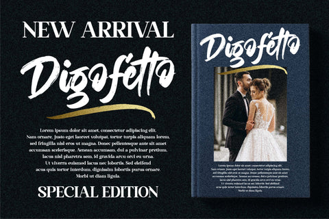 Digofetto Font Letterena Studios 