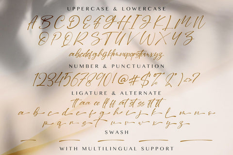 Dilan Script - Handwritten Font Font StringLabs 