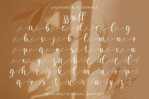 Dilan Whemsy - Modern Script Font Font StringLabs 