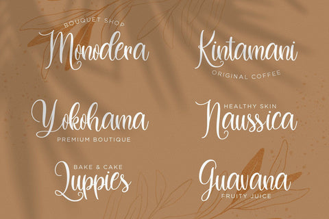 Dilan Whemsy - Modern Script Font Font StringLabs 