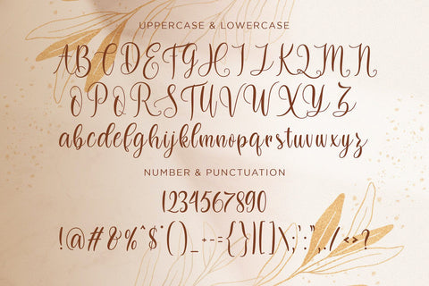 Dilan Whemsy - Modern Script Font Font StringLabs 