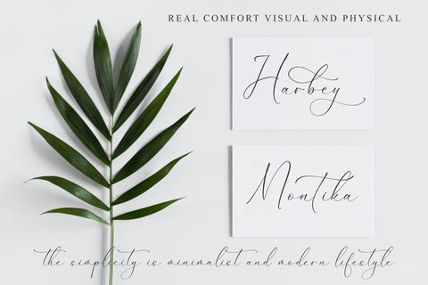 Dilanda Merlinmota - Beautiful Script Font Font Storytype Studio 