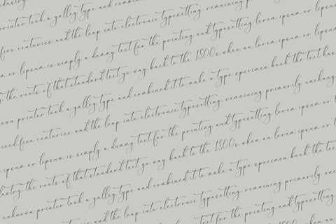 Dilanda Merlinmota - Beautiful Script Font Font Storytype Studio 