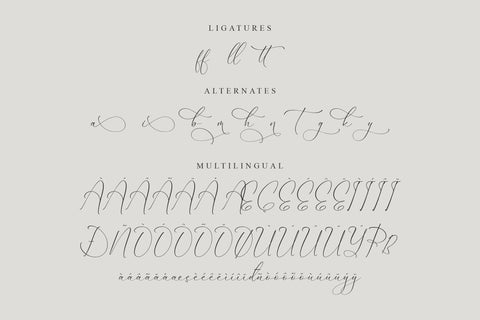 Dilanda Merlinmota - Beautiful Script Font Font Storytype Studio 