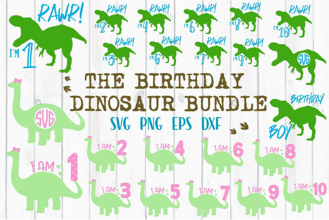 Dinosaur Birthday Bundle SVG Craft Pixel Perfect 