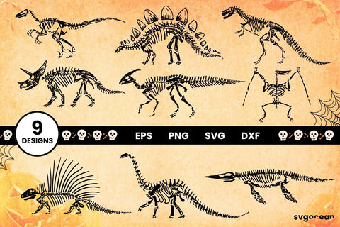 Dinosaur Skeleton Svg Bundle SVG SvgOcean 