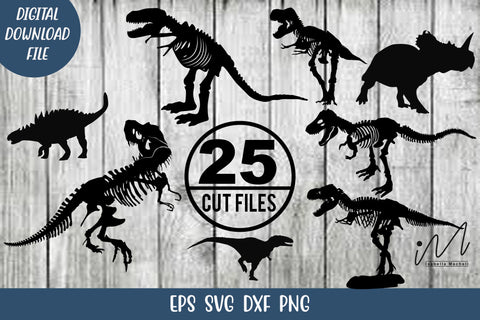Dinosaur svg bundle, Dinosaur clipart svg, Dinosaur cut files, Dinosaur svg, cut files SVG Isabella Machell 