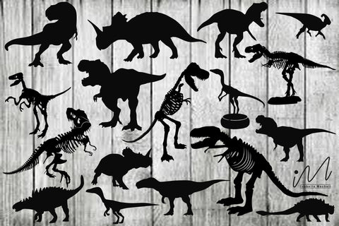 Dinosaur svg bundle, Dinosaur clipart svg, Dinosaur cut files, Dinosaur svg, cut files SVG Isabella Machell 