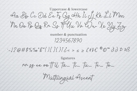 Diolitha - Monoline Signature Font Font Attype studio 