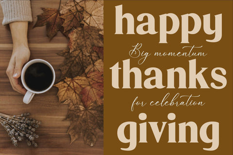 Dishcek Typeface Font Storytype Studio 