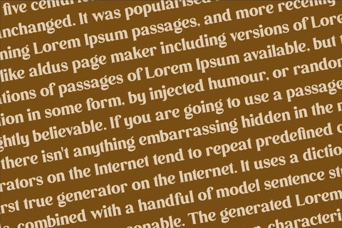 Dishcek Typeface Font Storytype Studio 