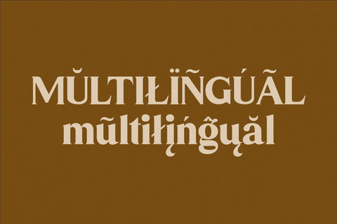 Dishcek Typeface Font Storytype Studio 