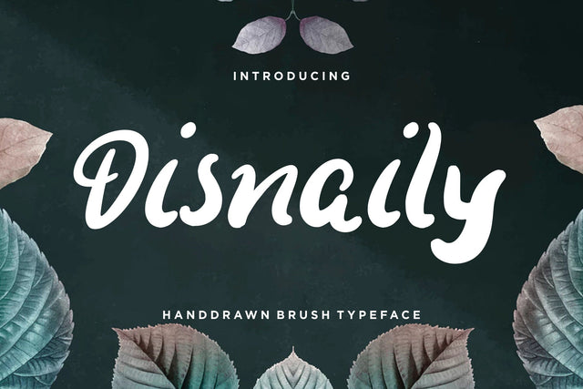 Disnaily Handdrawn Brush Font Creatype Studio 