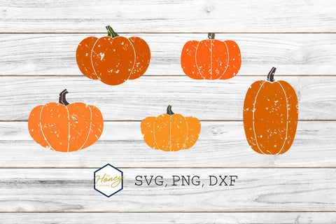 Distressed Pumpkin Bundle PNG SVG DXF Halloween Cut File SVG The Honey Company 