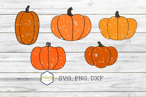 Distressed Pumpkin Bundle PNG SVG DXF Halloween Cut File SVG The Honey Company 