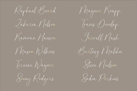 Disttoris Andarlin - Elegant Script Font Font Storytype Studio 