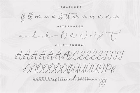 Disttoris Andarlin - Elegant Script Font Font Storytype Studio 