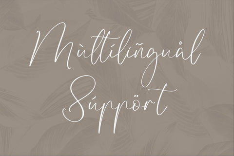 Disttoris Andarlin - Elegant Script Font Font Storytype Studio 