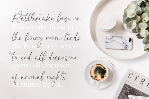 Disttoris Andarlin - Elegant Script Font Font Storytype Studio 