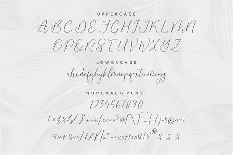 Disttoris Andarlin - Elegant Script Font Font Storytype Studio 